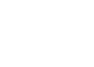 Our Brands 25 Essenza perfumes logo